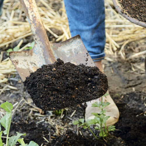 Composting is an important way to turn waste into nutrients for your garden.
